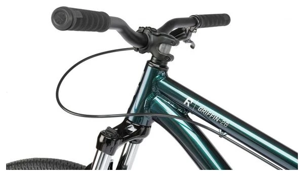Bicicleta Dirt Radio Bikes Griffin 26'' Vert 2021 4 Bicicleta Dirt Radio Bikes Griffin 26'' Vert 2021 - Imagen 4