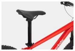 MTB Semi Rígida Cannondale Trail 5 29 29'' Rouge 2021 -Mundo Bicicletas 18174835f6e05470b4172.78220611