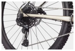 MTB Semi Rígida Cannondale Trail SL 1 29'' Gris / Beige 2021 -Mundo Bicicletas 18660245fdb649c4bc201.29057557