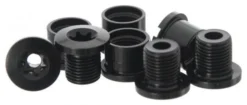 Race Face RaceFace Ring Bolts Kit Alu Torx 2x10