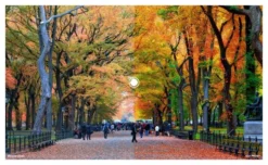 Gafas Oakley Sutro Black Yellow Prizm 24k -Mundo Bicicletas 8397085e6a51324cfc41.23891473